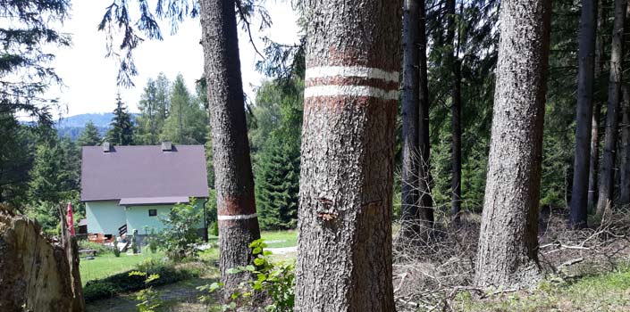 Unterkünfte am Lipnosee - Das Wochenendhaus LIPNO