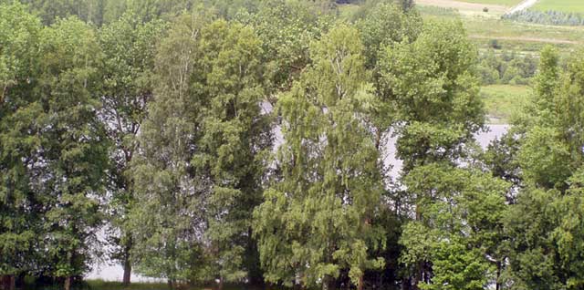 Unterkünfte am Lipnosee - Die Villa LIPNO